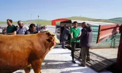 Ankara’da Kurban Pazarı yoğunluğu