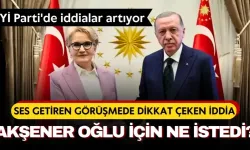  İYİ Parti'de iddialar artıyor: Meral Akşener, Cumhurbaşkanı ile oğlunu elçi yapmak için mi görüştü?