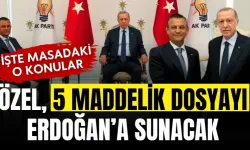 Erdoğan-Özel görüşmesinde masaya gelecek konular belli oldu! 