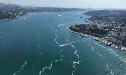 İstanbul'da müsilaj görülmeye başlandı