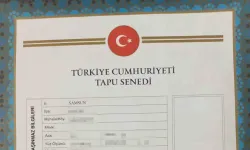 Türkiye'de Miras Hukukunda büyük değişiklik: Miras paylaşımı artık daha adil ve şeffaf