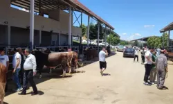 Altındağ’da Kurban Bayramı yoğunluğu