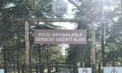 AOÇ Hayvanat Bahçesinin minyatürü Gazi Park’ta