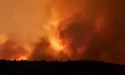 Diyarbakır’daki yangında ölenlerin kimlikleri belli oldu