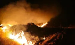 Şırnak'ta Korkutan Yangın: Rüzgarın Etkisiyle 7 Köy Tehlike Altında!