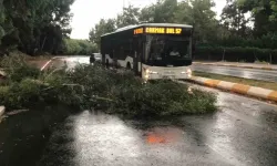 Şanlıurfa’daki fırtına hayatı felç etti! Ağaçlar devrildi, yollar göle döndü