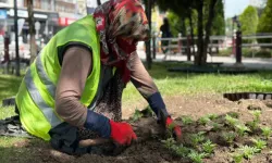 Sincan'da binlerce çiçek toprakla buluştu