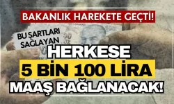 Bakanlık duyurdu: Bu şartları sağlayan herkese 5 bin 100 lira maaş bağlanacak!