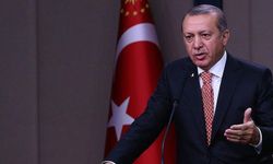 Cumhurbaşkanı Erdoğan’dan sokak köpekleri talimatı!