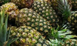 Rüyada ananas görmek ne anlama gelir?