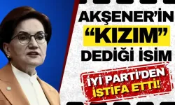 Meral Akşener'in "kızım" dediği Sevin Çağlayan İYİ Parti'den istifa etti!