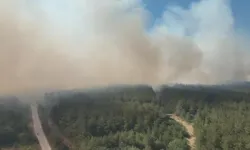 Savcılık Bursa’daki yangın için harekete geçti!