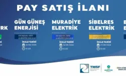 Tasarruf Mevduatı Sigorta Fonu enerji şirketlerini ihaleye çıkardı