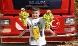 Manisa Sarıgöl’de Erkenci Üzüm Hasadı Başladı: Superior Seedless ve Trakya Cinsleri Yurtdışına Gönderiliyor