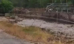 Sivas sele teslim oldu! :Demir köprü yıkıldı!