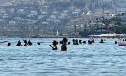 Bodrum'da sahiller tıklım tıklım doldu, turizmciler pahalılık haberlerine tepki gösterdi