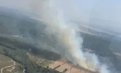 İzmir'de bir orman yangını daha!