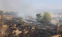 Aydın’da feci yangın! Üniversite'nin kampüsüne doğru ilerliyor