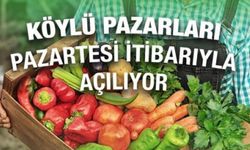 Erdal Beşikçioğlu müjdeyi verdi: Köylü Pazarları açılıyor