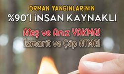 Ankara Orman Bölge Müdürü: Orman yangınlarının %90'ı insan kaynaklı