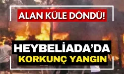 Heybeliada’da yangın!