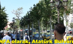 Anfa'dan Atatürk Bulvarı'na çınar ağaçları dikimi