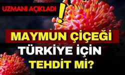 Maymun çiçeği Türkiye için tehdit mi? Uzmanı açıkladı