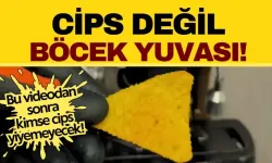 Bu videodan sonra kimse cips yiyemeyecek! Meğer böcek doluymuş