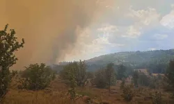 Kızılcahamam’da başlayan yangın Bolu'daki Gerede ormanlarına sıçradı!