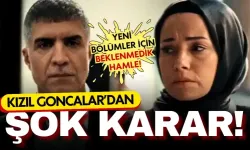 Kızıl Goncalar dizisi hakkında şok karar! 