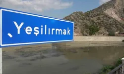 Yetkililer uyardı... Yeşilırmak Nehri'nde şaibeli balık ölümleri yaşanıyor!