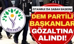 DEM Partili başkanlara operasyon: Gözaltına alındılar