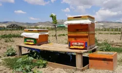 Sincan Belediyesi'nden çevreye dost sıfır atık projeleri