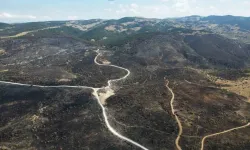 Bolu’daki orman yangınının yıkıcı etkisi gün yüzüne çıktı