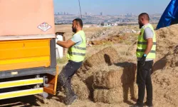 Gölbaşı Belediyesinden çiftçilere saman desteği