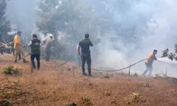 Kazdağı Milli Parkı’nda orman yangını! Ekipler havadan karadan müdahale ediyor