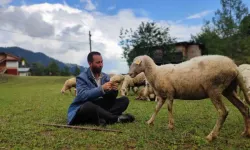 Hayalini gerçekleştiremeyen üniversite mezunu genç, çobanlığa başladı