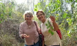 Mamak’ın saklı kalmış güzellikleri Ankaralılarla buluşuyor