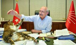 ’Şero’ öldü, CHP Genel Merkezi'nin bahçesine gömüldü!