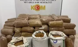 Samsun’da kaçak tütün operasyonu: 435 kilo tütün ele geçirildi