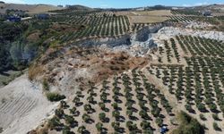 Deprem sonrası oluşan ilginç yarıkta hasat