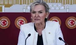 İYİ Parti’den istifa eden Nimet Özdemir CHP'ye katılacak!