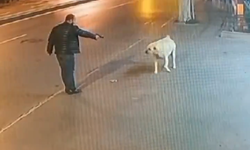 Sokaktaki engelli köpeğe tabanca doğrulttu